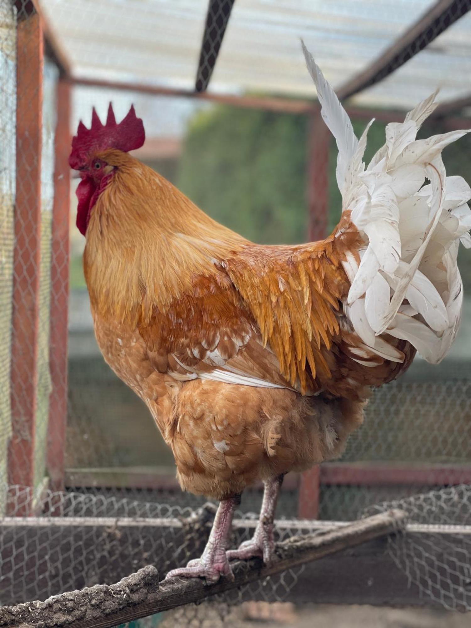 Agro Na Wapniarni Villa Biala  Ngoại thất bức ảnh